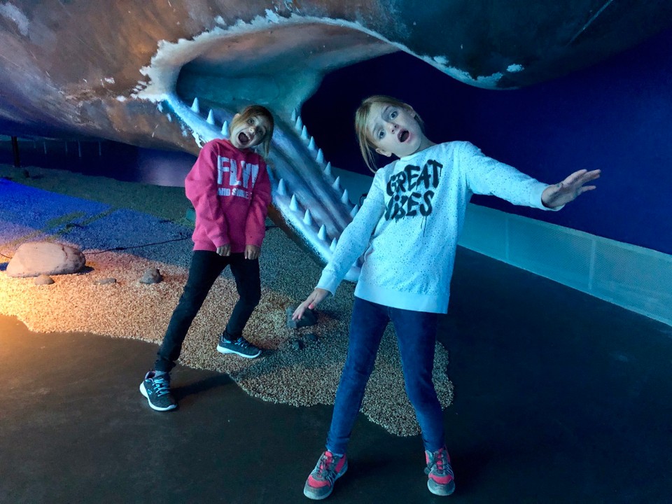 Island - Reykjavík - 😂🤪👍