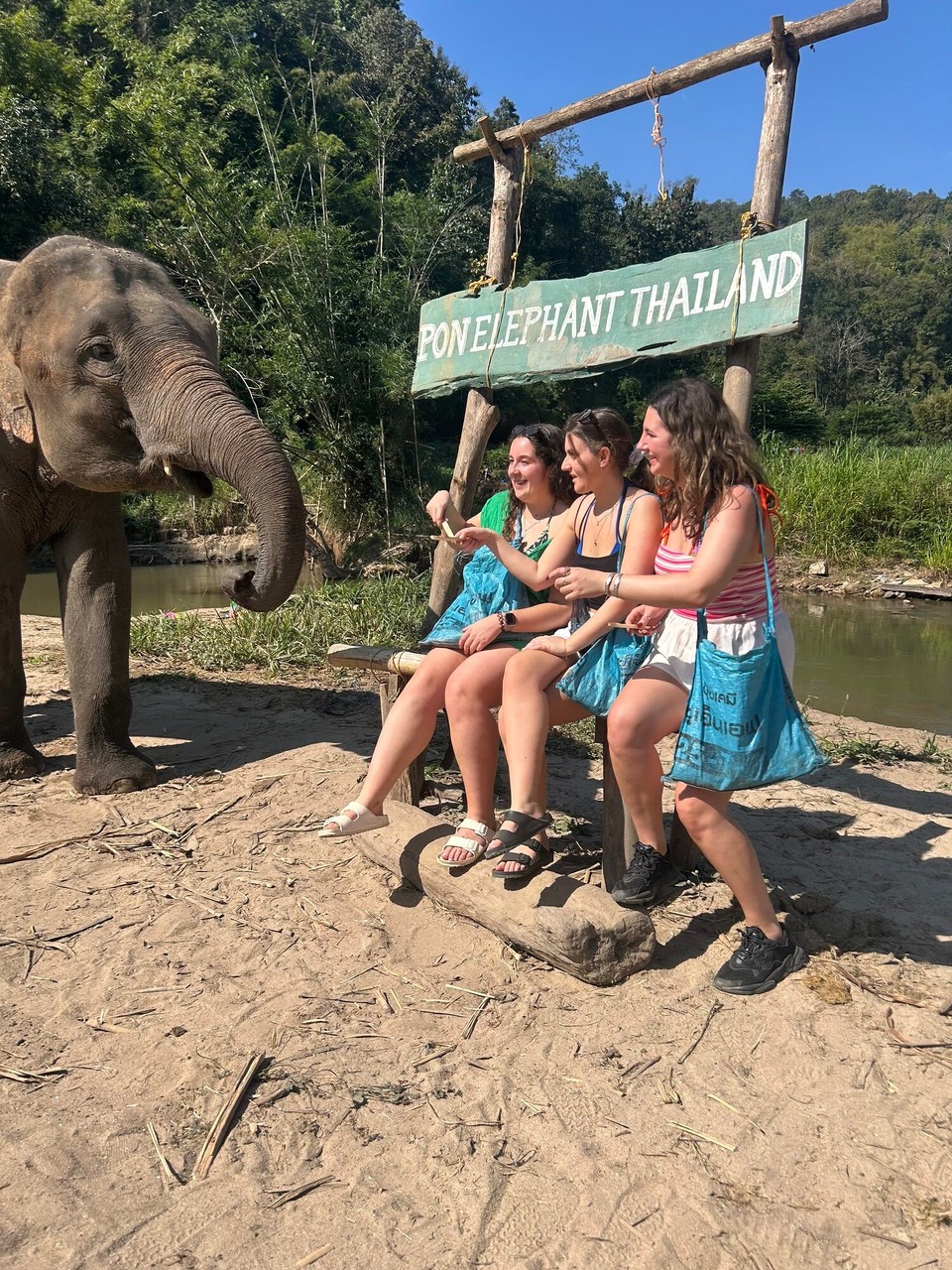 Thailand - Mueang Chiang Mai - The first station was feeding the elephants the sugar canes we were given. Their trunks are like hoovers and you have to be careful of holding your phone at the same time. The 2nd station was to the see the baby elephant who was only 2 months old, you aren’t allowed to touch her as it can be harmful