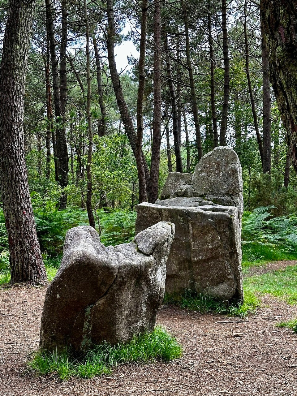 Frankreich - Carnac - 