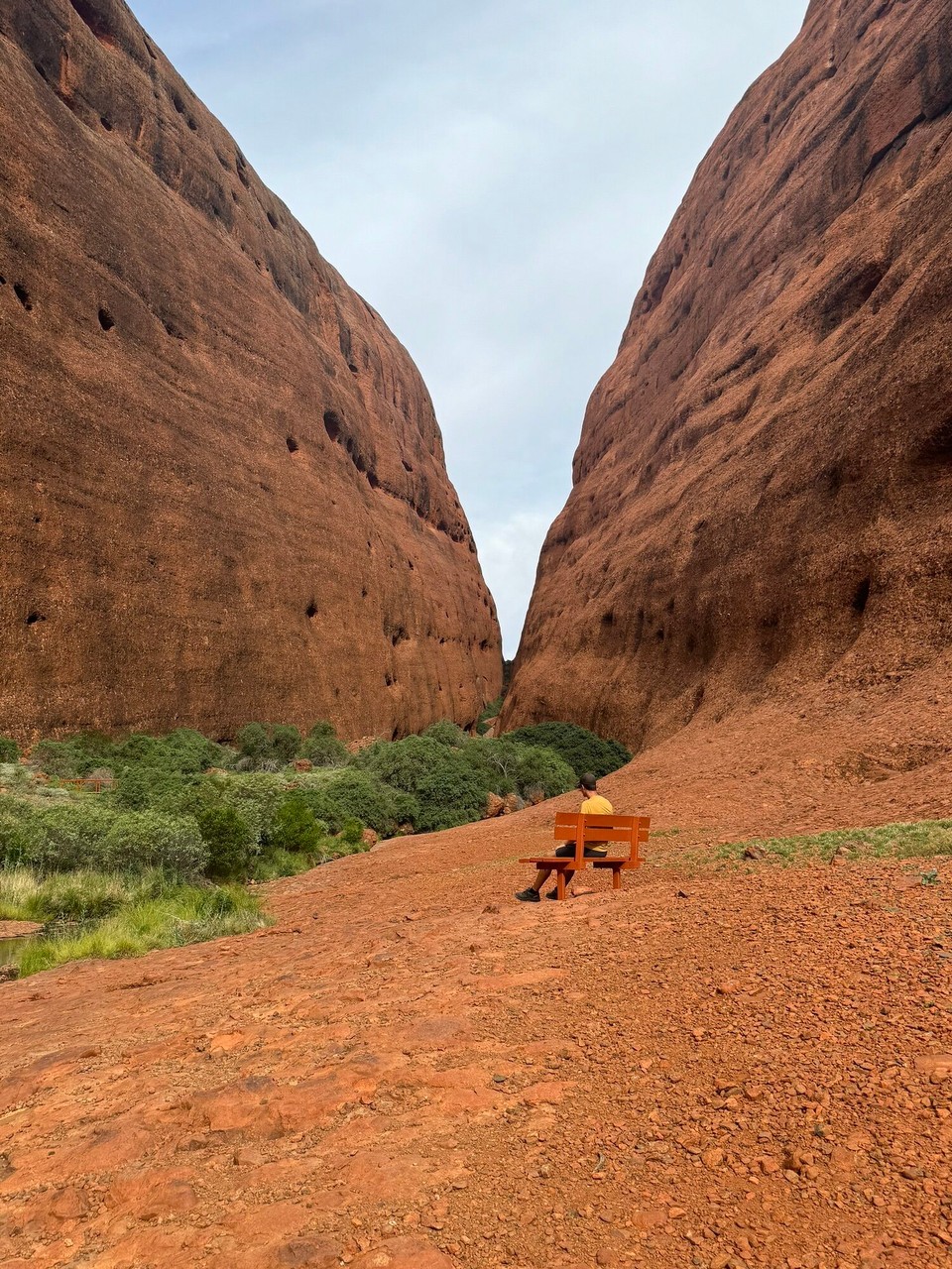 Australien - Yulara - Dr Marc gnüsst z Vogelgezwitscher.
