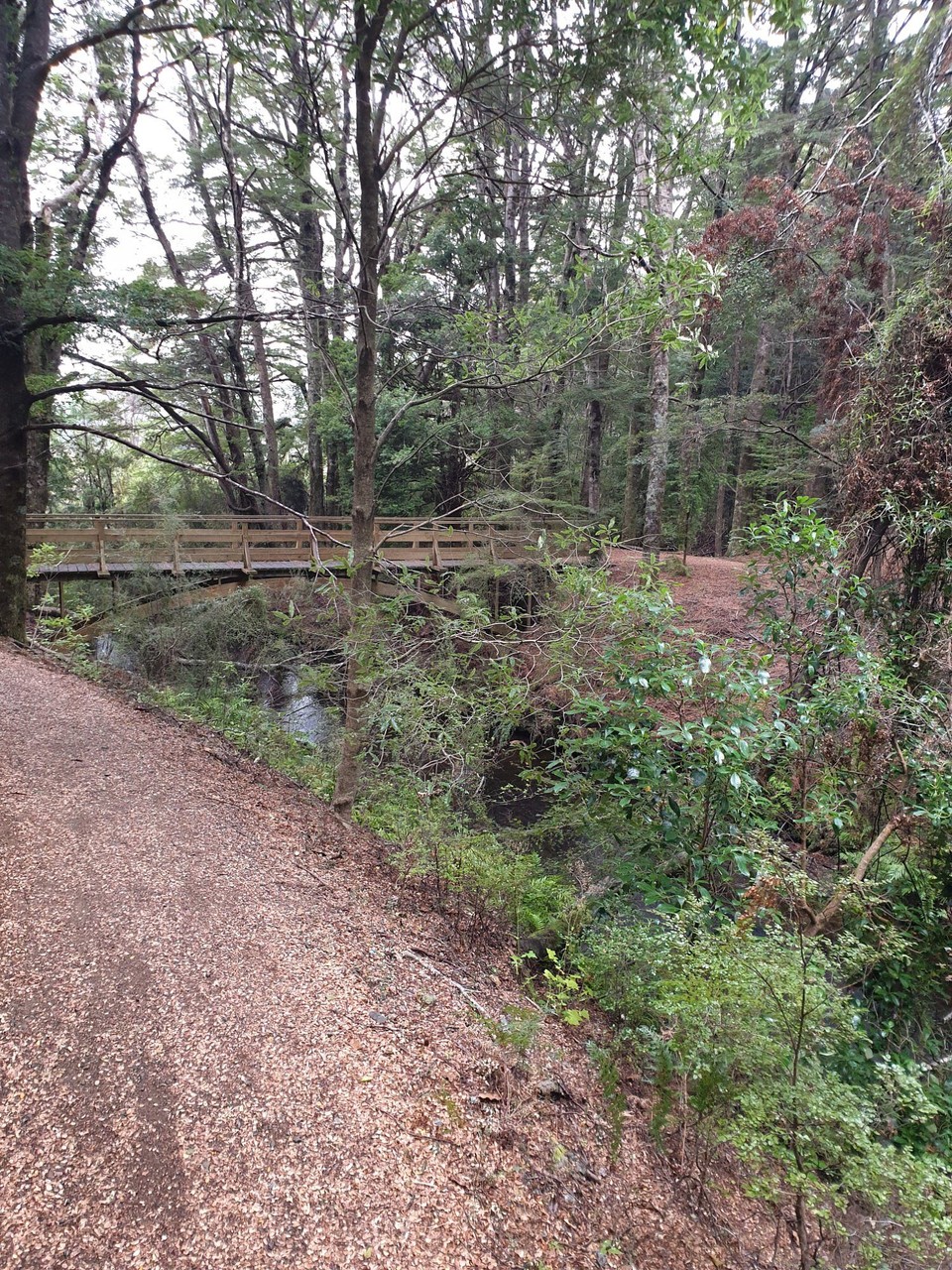 Neuseeland - Te Anau - 