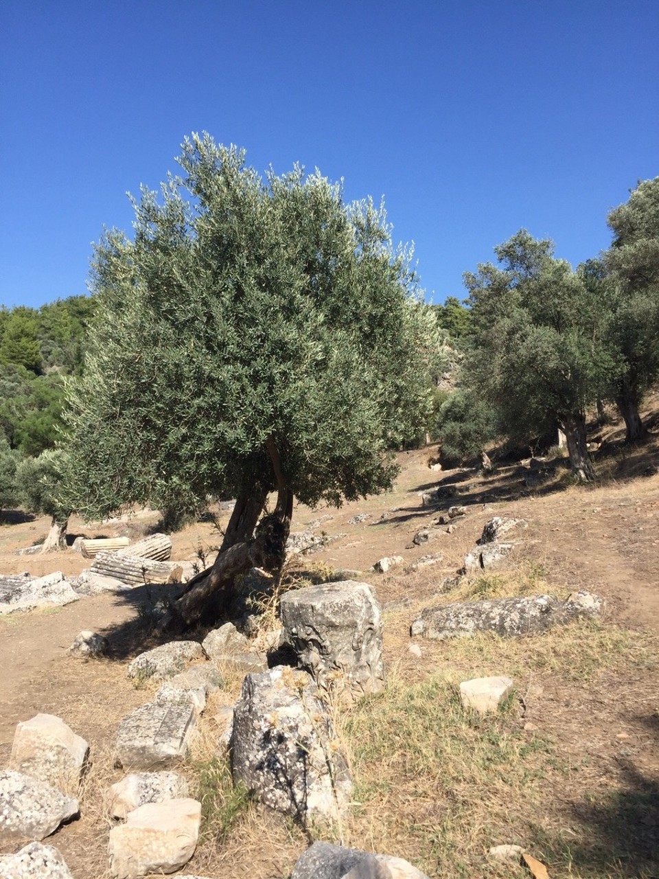 Türkei - Bodrum - 