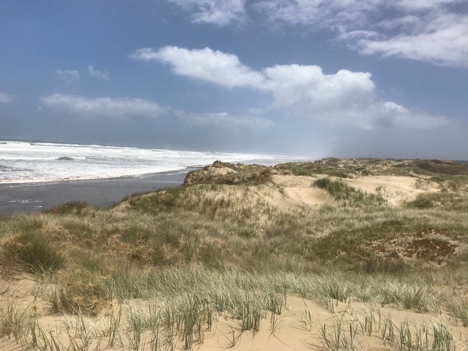 Neuseeland -  - Ninety Mile Beach