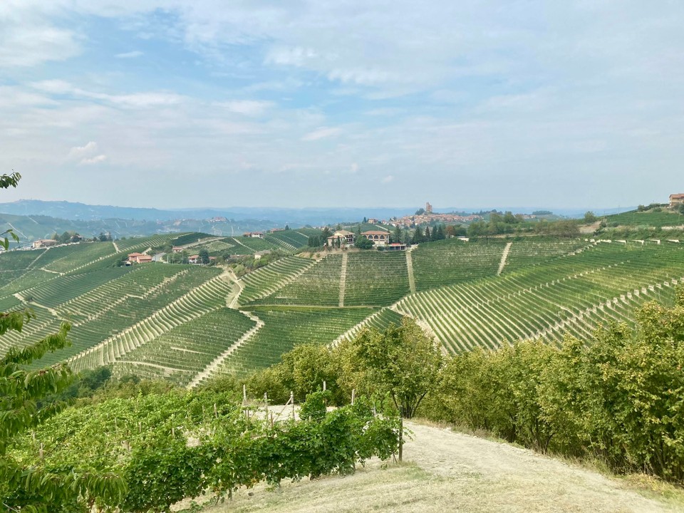 Italien - Barolo - 