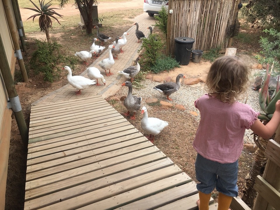 Südafrika - Swellendam - 