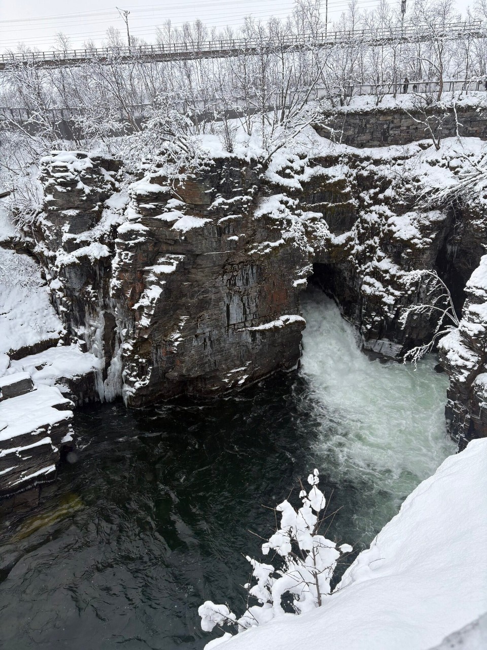 Schweden - Abisko - 