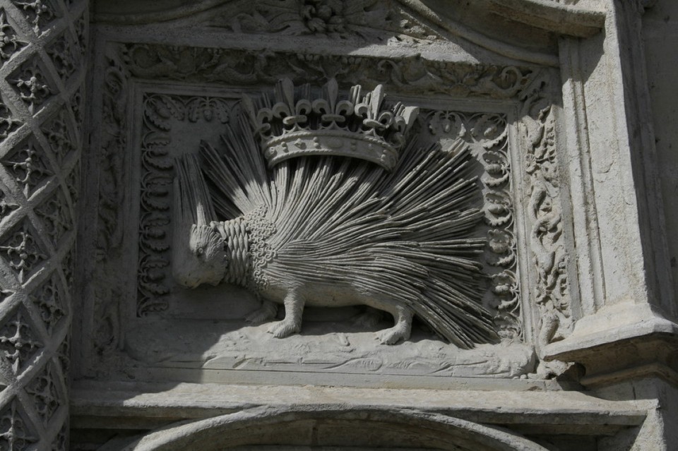 Frankreich - Blois - Royaler Puschelhasenstacheligel