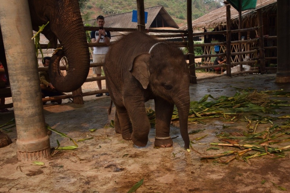 Thailand - Chiang Mai - Der Kleine ist erst 5 Monate alt