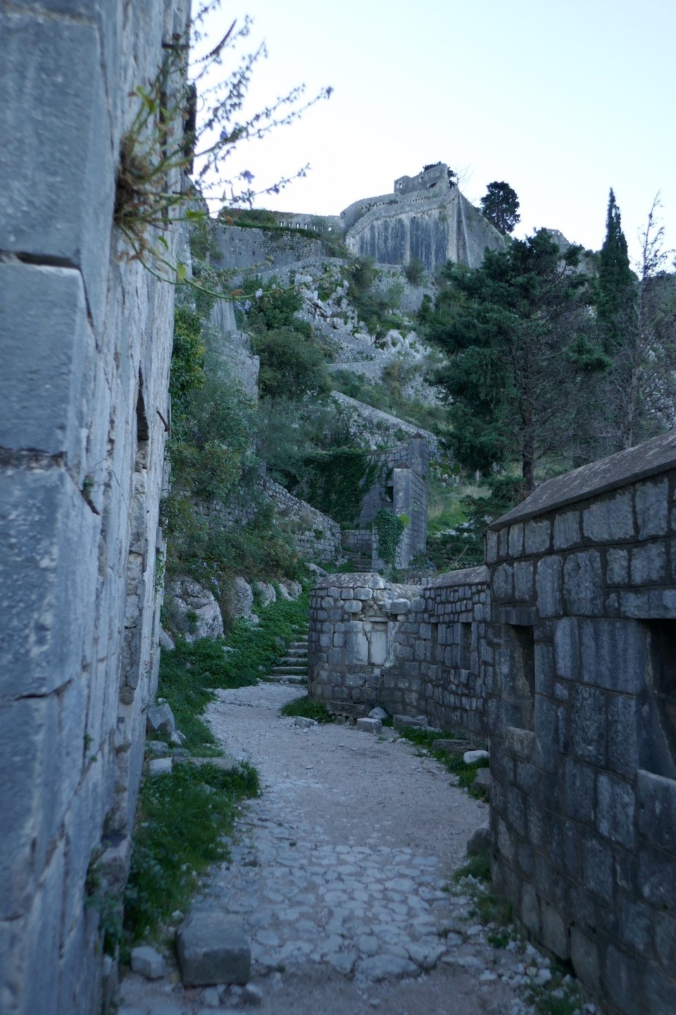 Montenegro -  - 