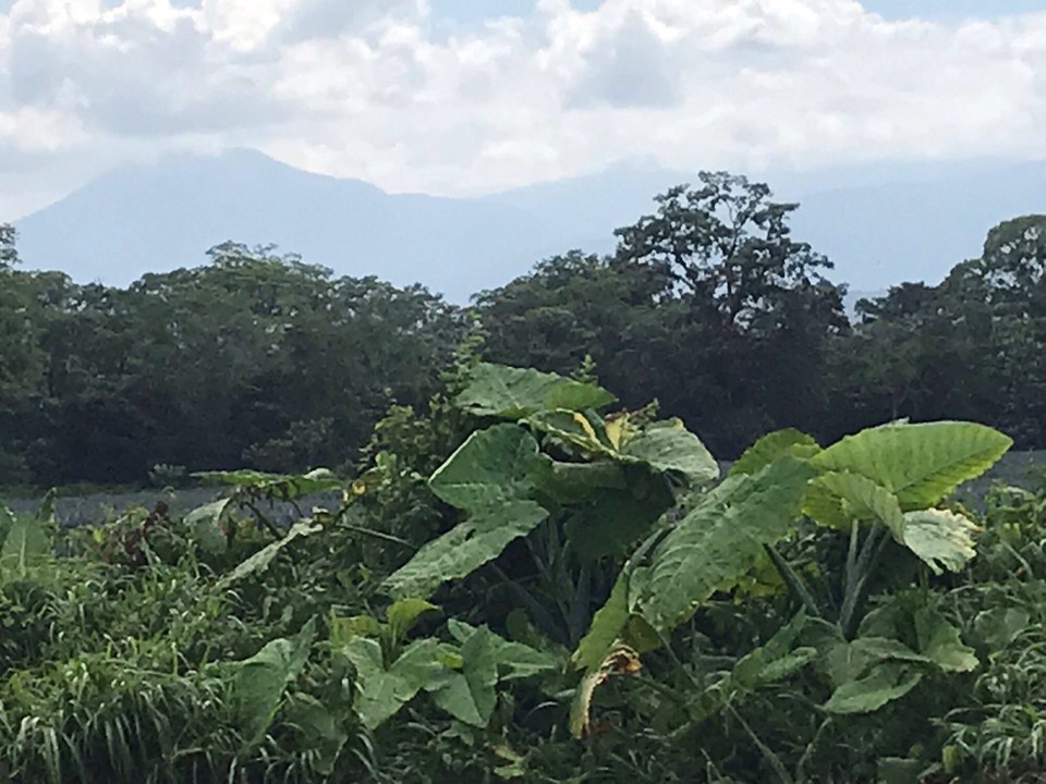 Costa Rica - Paraiso - 