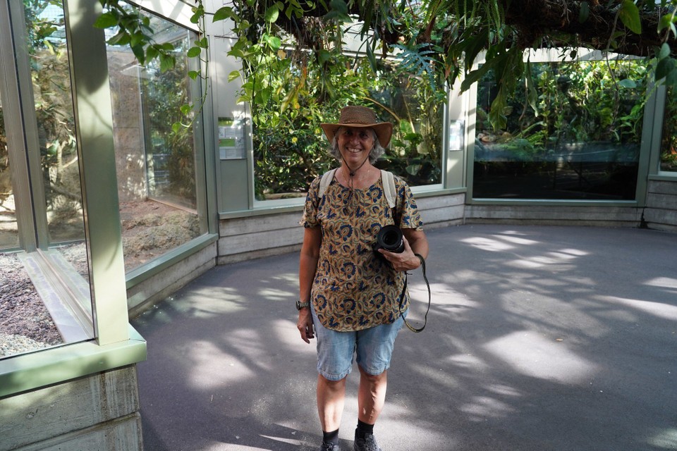 Schweiz - Zürich - Das Tropenhaus mit wunderschön angelegten Aquarien und Terrarien