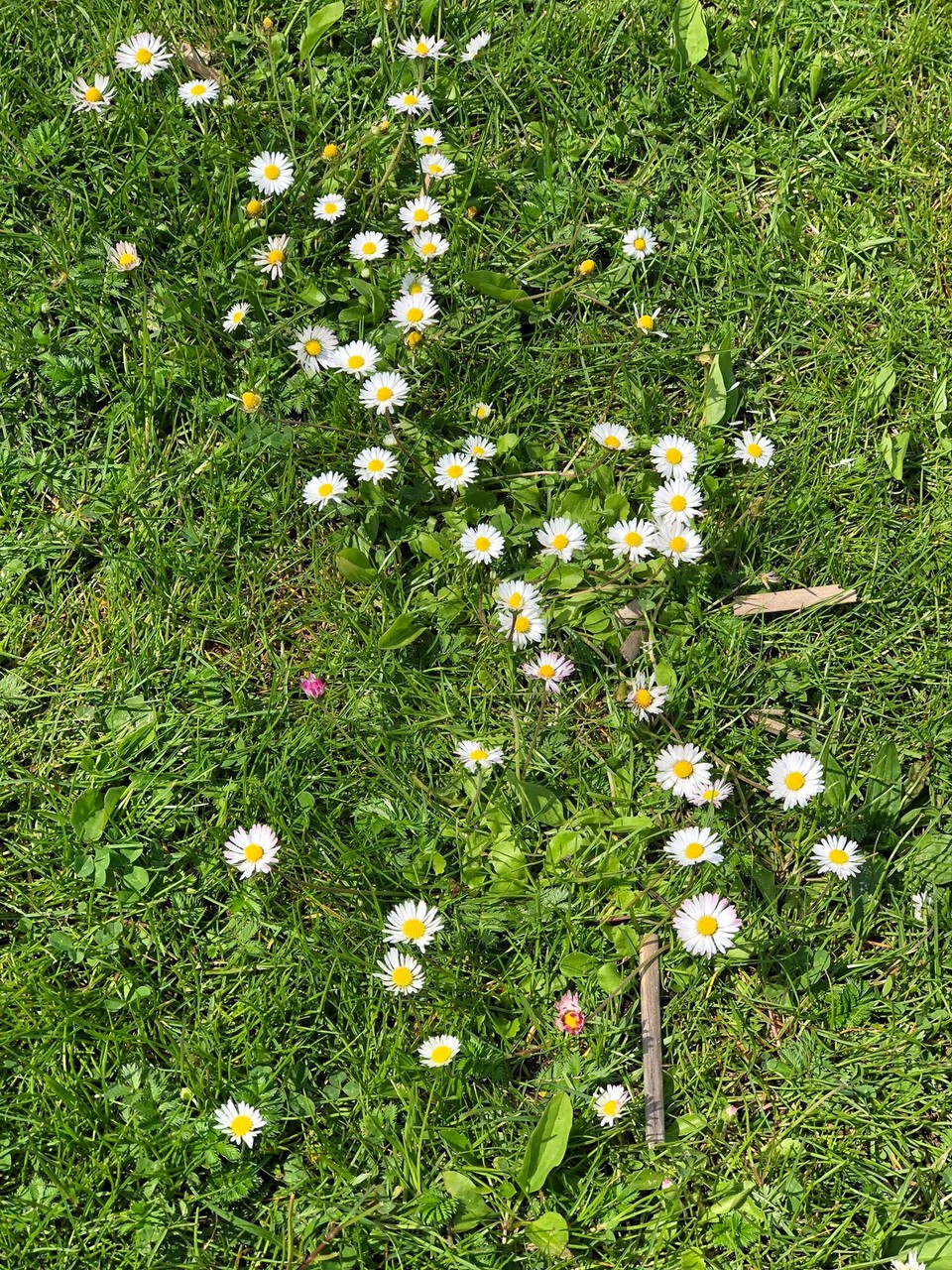 Deutschland - Diensdorf-Radlow - 