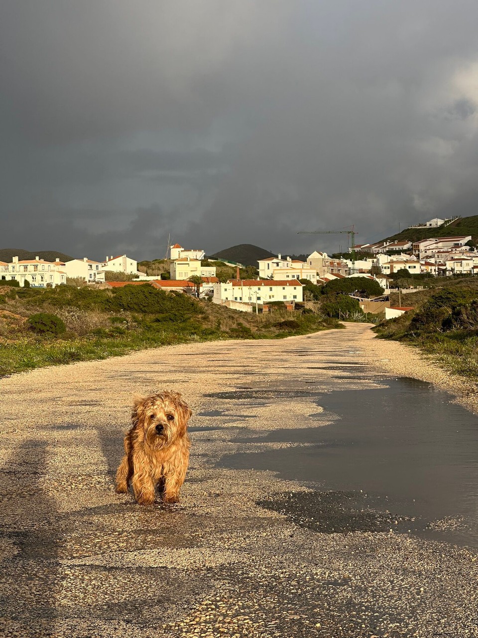 Portugal - Bordeira - 