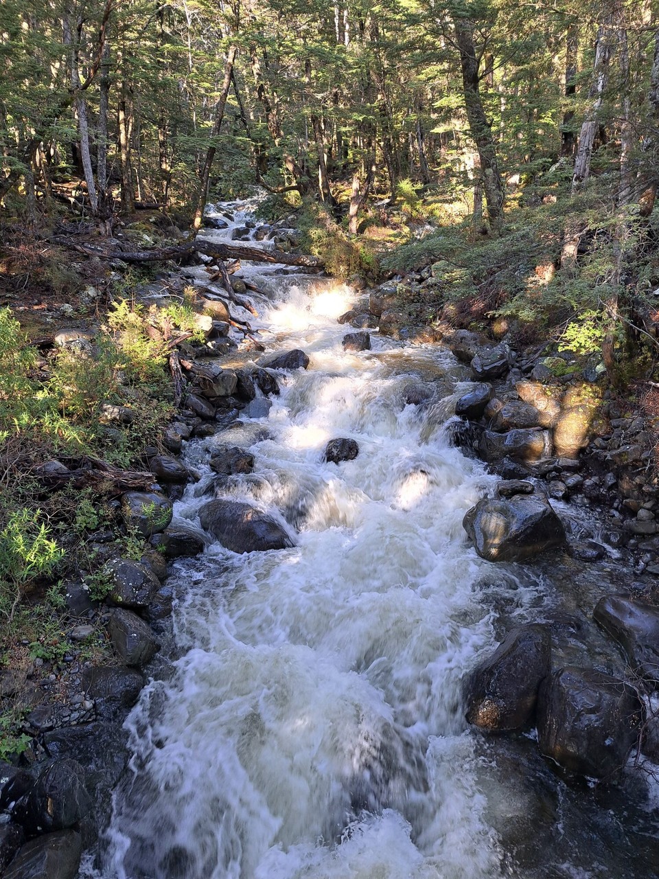 Neuseeland - John Creek - Immer wieder Flussquerungen 