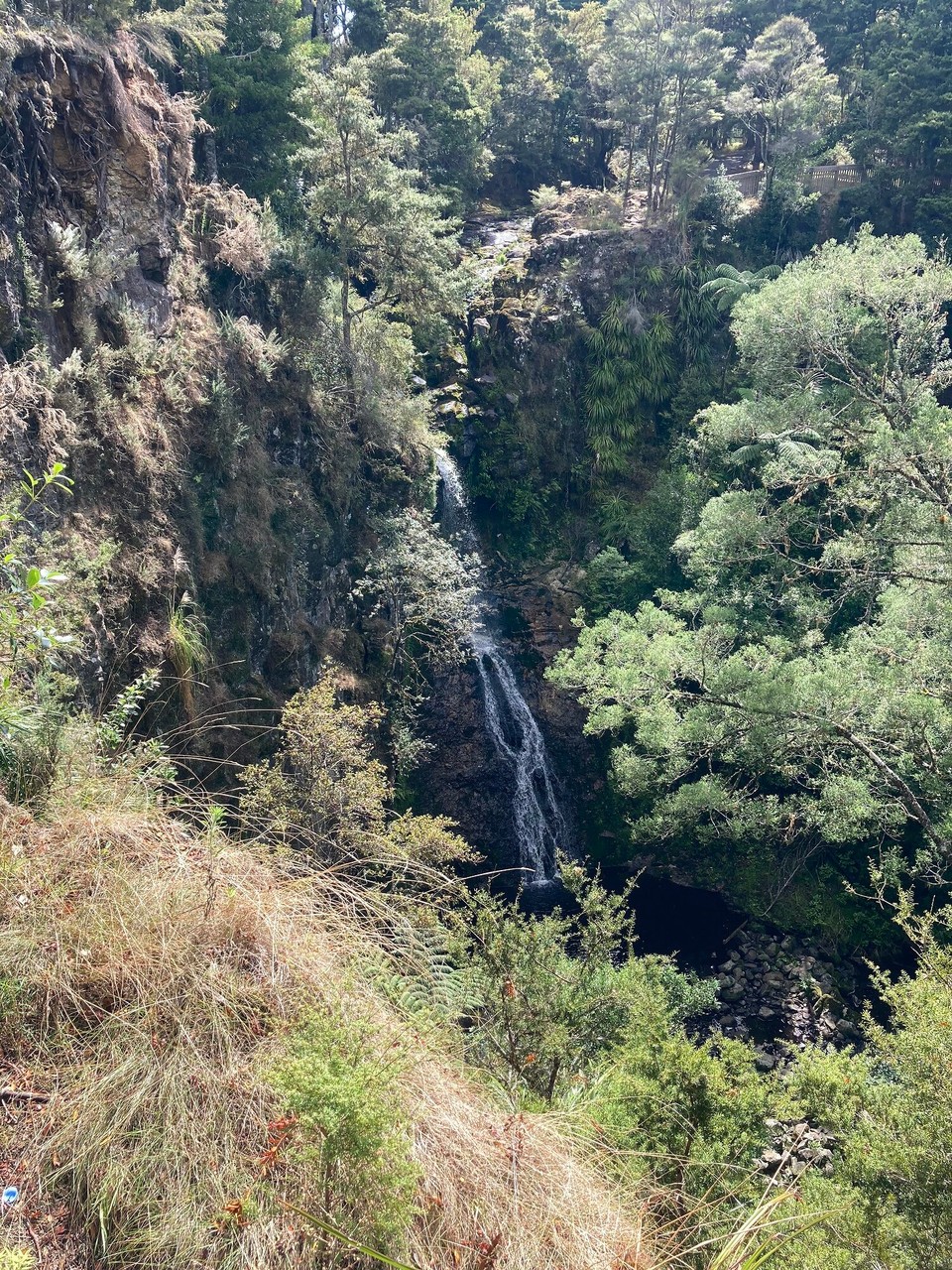 Neuseeland - Whangarei - Paranui Falls