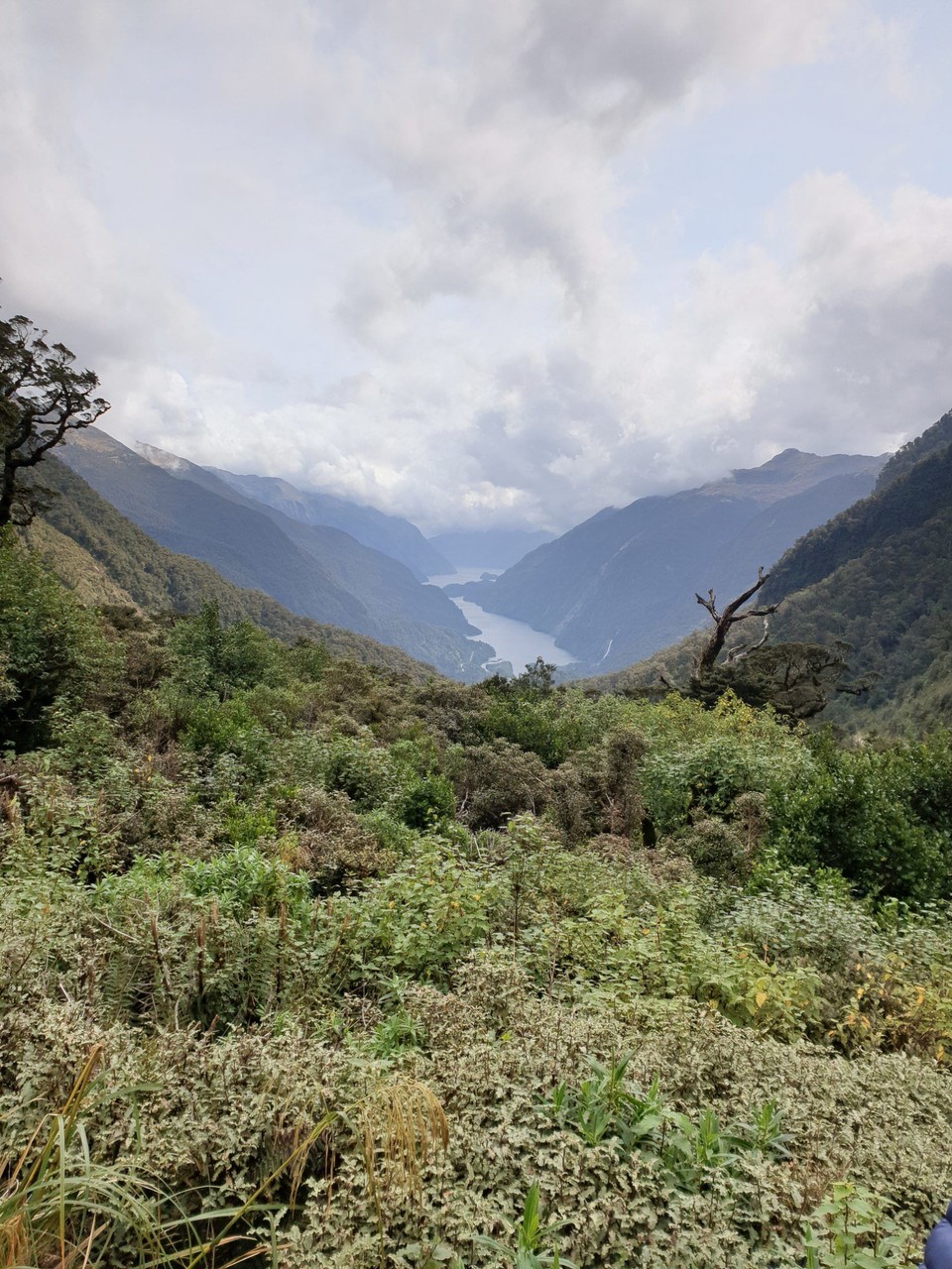 Neuseeland - Doubtful Sound - 