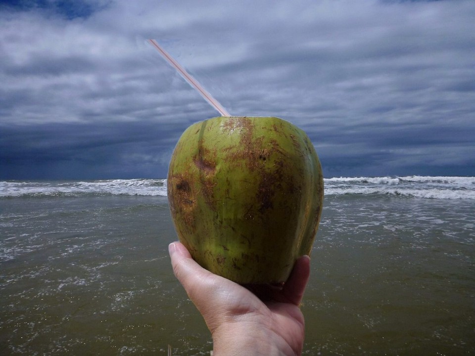 Brasilien - Ilhéus - Kühles Kokosnuss–Wasser ist immer gut
