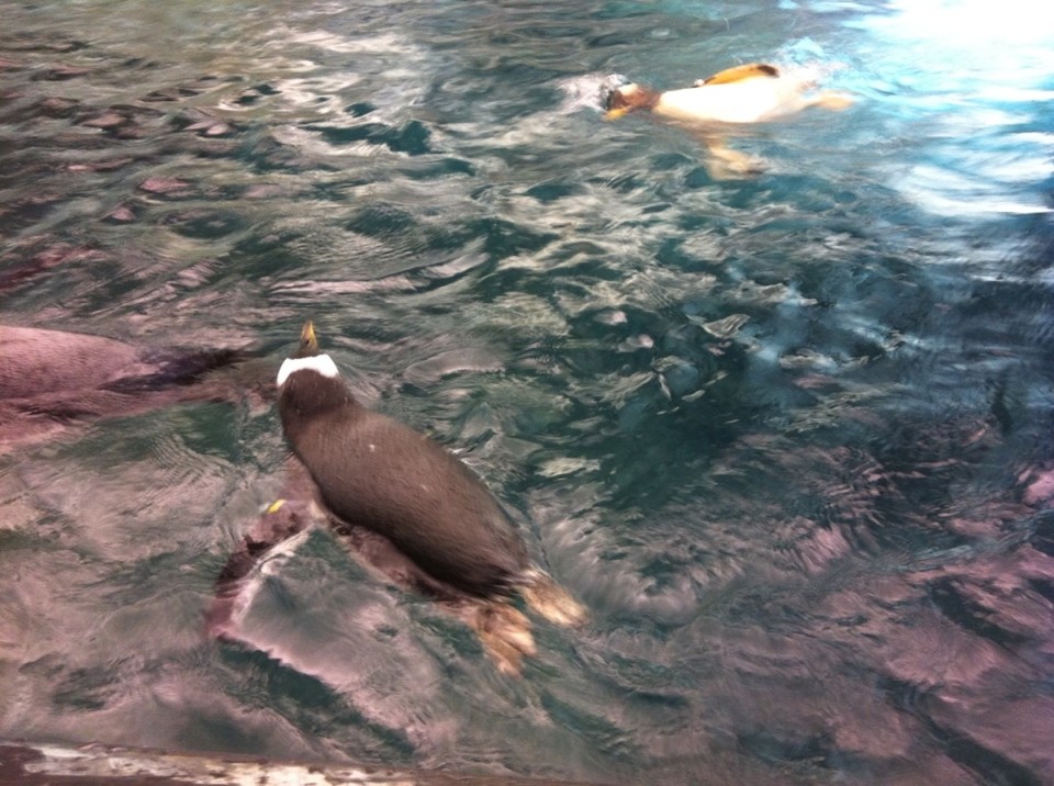 Egyesült Államok - Orlando - 