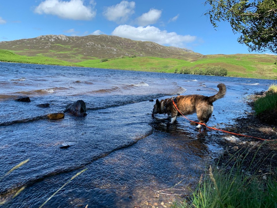 Vereinigtes Königreich - Inverness - 