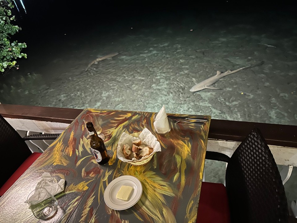 Französisch-Polynesien - Moorea-Maiao - Da hat man den Dinner verdient 