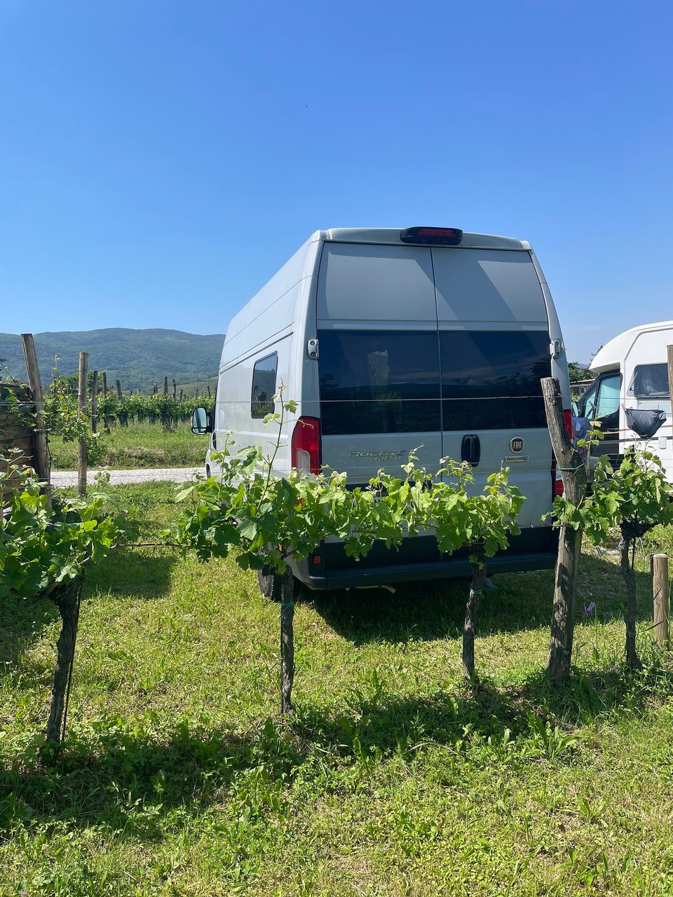 Slowenien - Dornberk - Guten Morgen - mitten aus den Weinbergen 