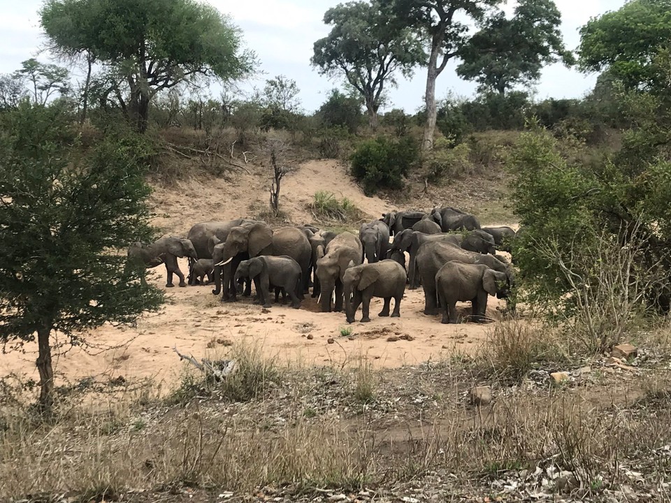 Südafrika -  - 