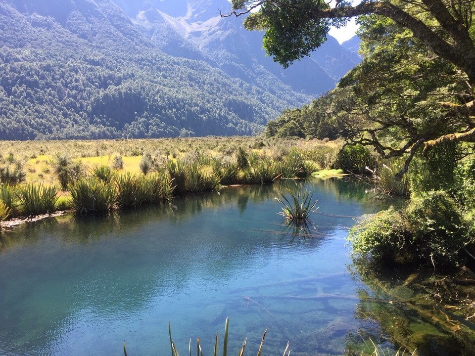 Neuseeland - Te Anau - Mirror Lake