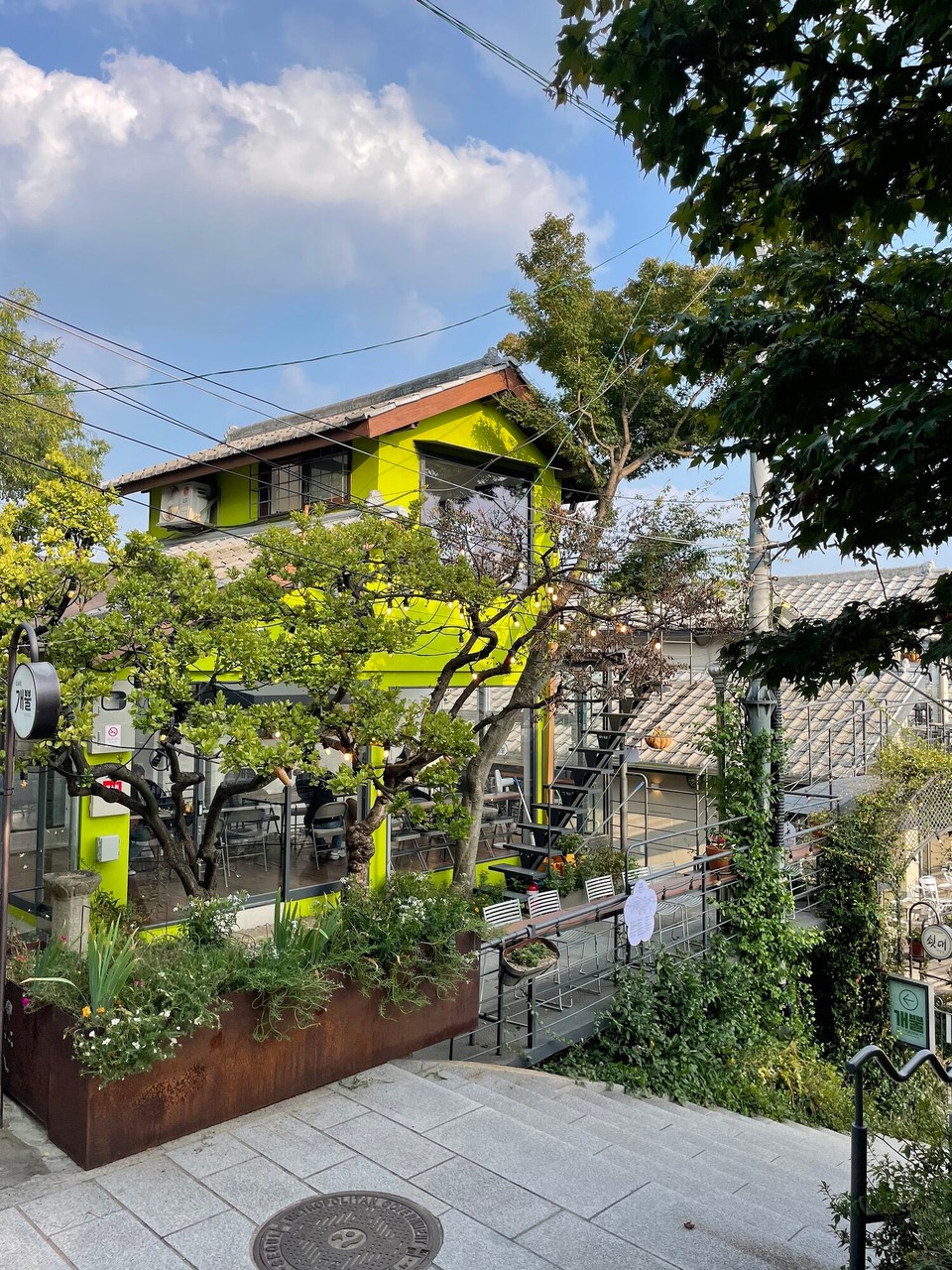 대한민국 - 서울특별시 - 