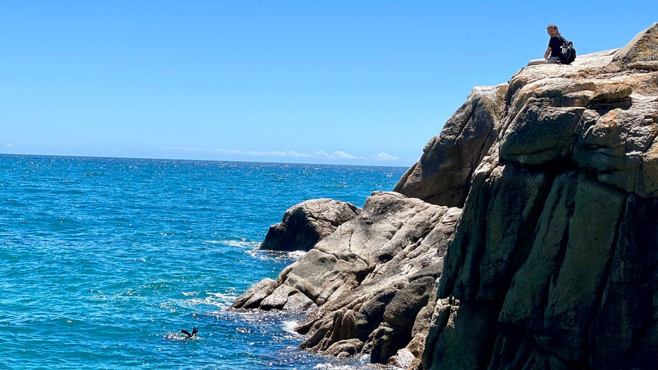 Neuseeland - Abel Tasman National Park - 