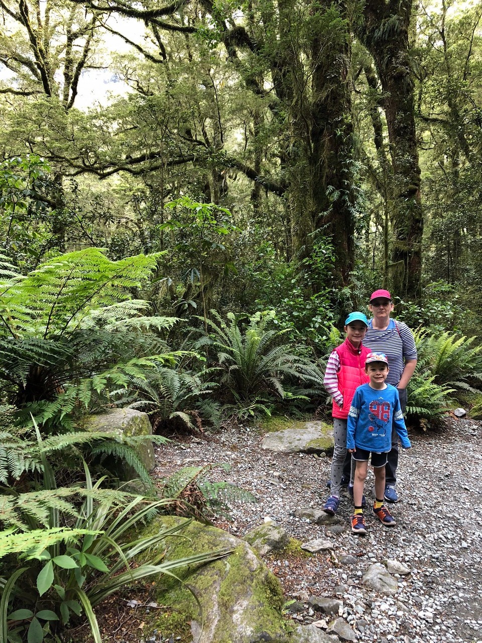 Neuseeland - Te Anau - Wir machen eine kurze Wanderung zur Chasm Schlucht.