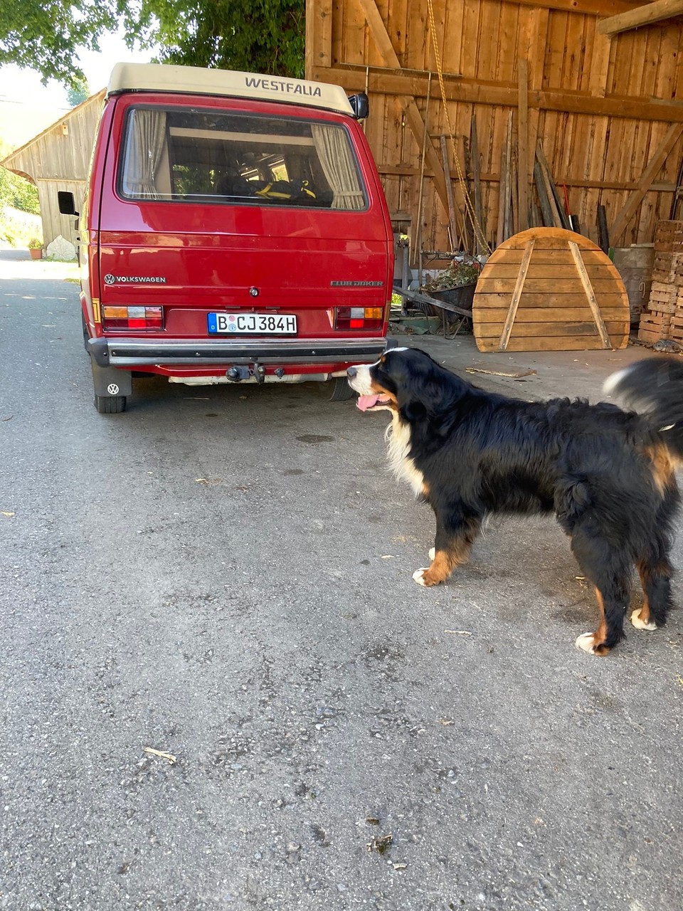 Schweiz - Oberbalm - Begrüßung durch Juri den Hofhund