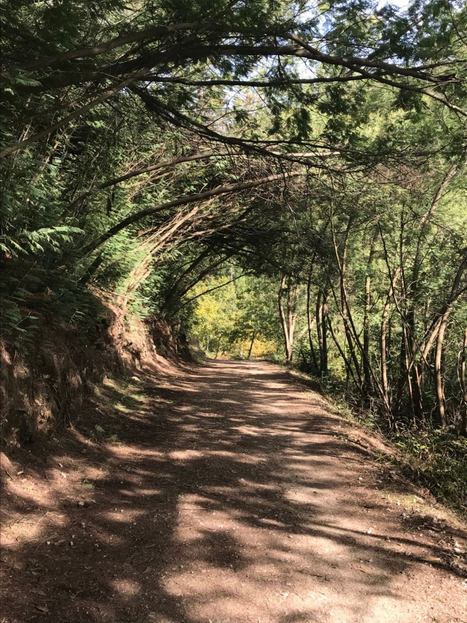 Spanien - Caldas de Reis - Auf dem Weg nach Padron