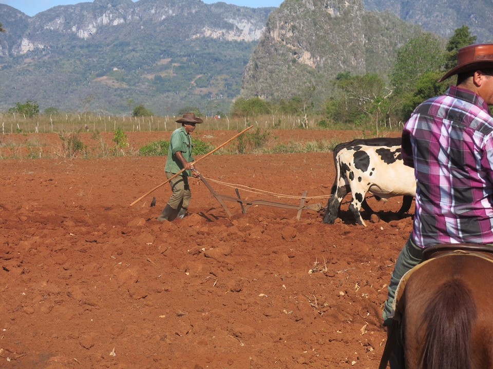 - Cuba, Viñales - 