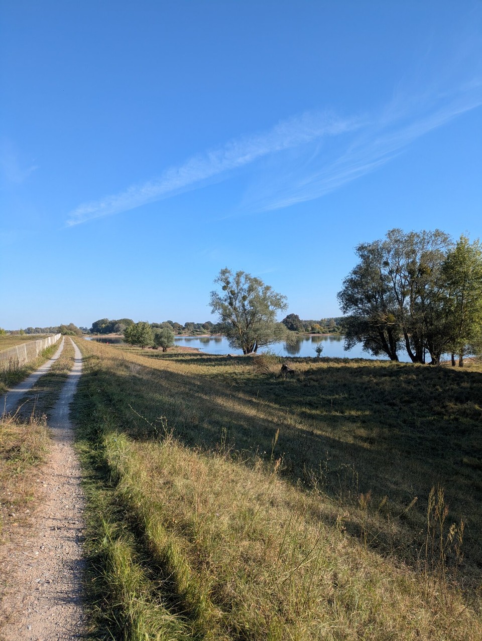 Deutschland - Havelberg - Danach wieder: Strecke machen, Strecke machen. Die Zeit saß uns ein bisschen im Nacken.