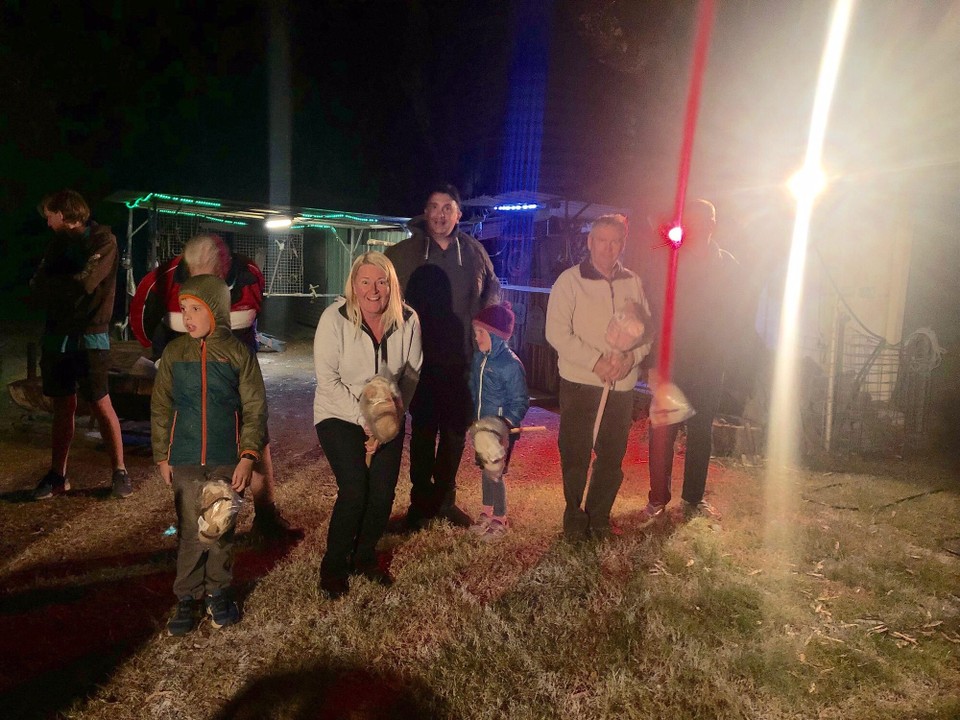 Australia - Charleville - Giddy up Rossie 