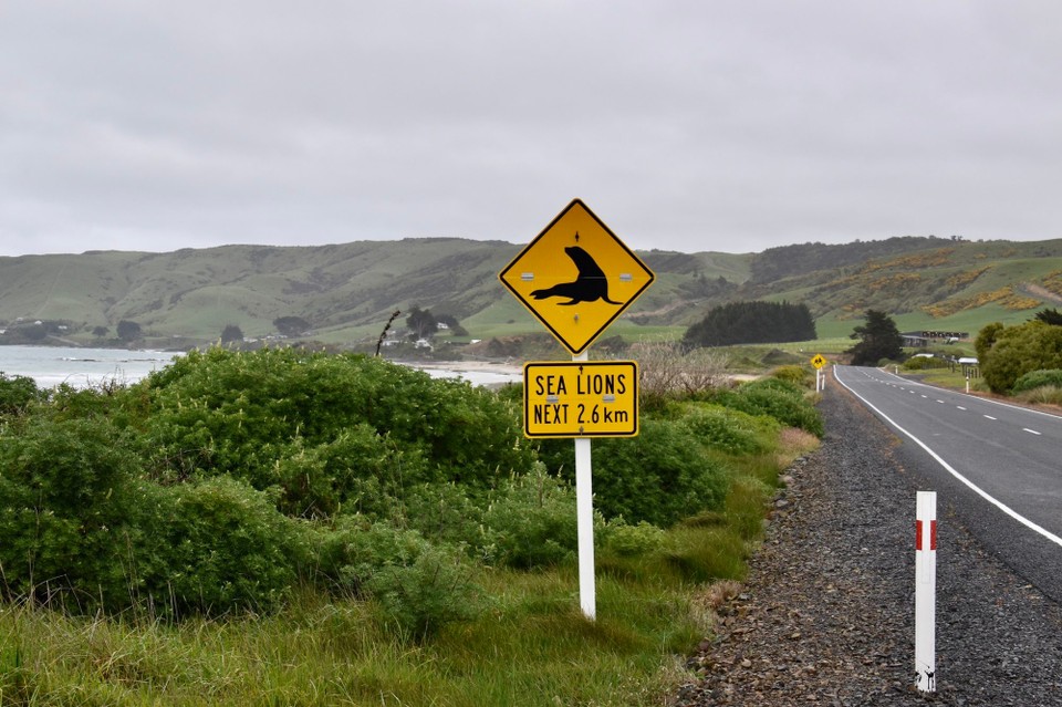 Neuseeland - Owaka - Hier gibt es wieder andere Straßenschilder.