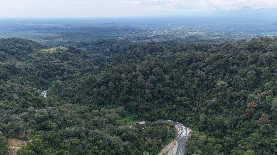 Indonesien - Kabupaten Langkat - 