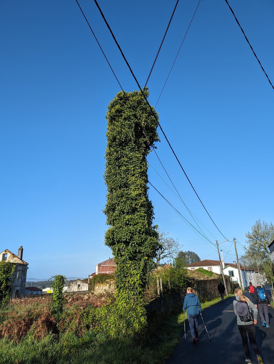 Spanien - Melide - Ist das grüner Strom?
