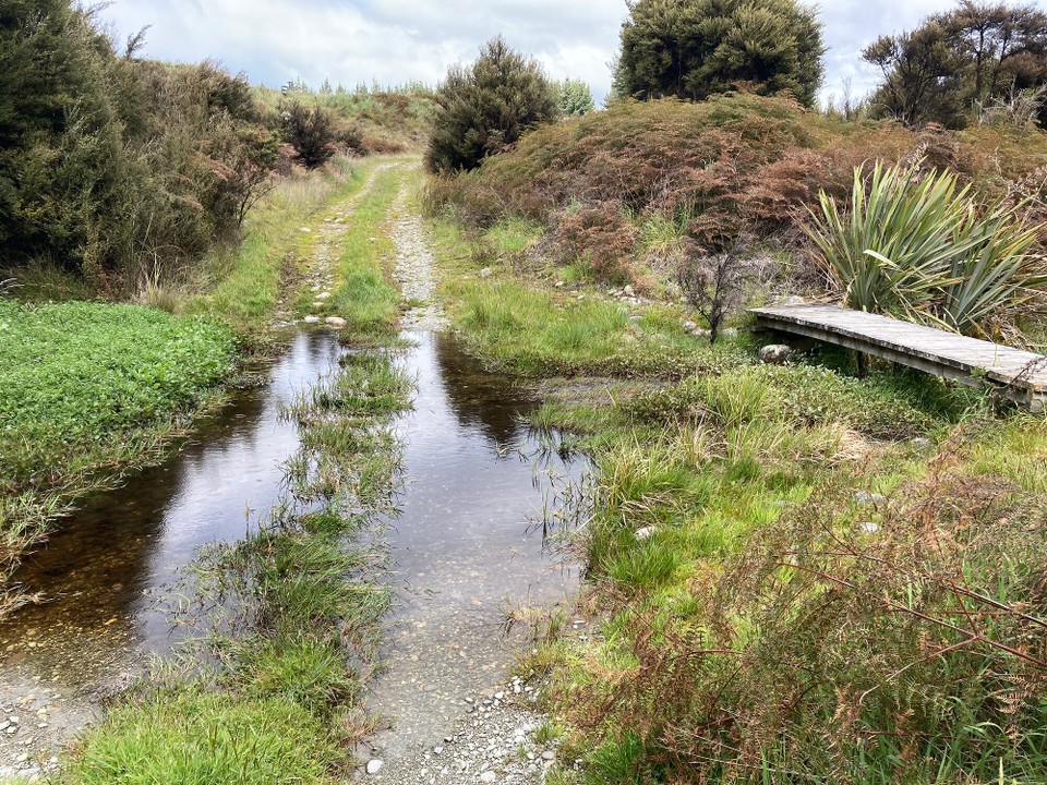 Neuseeland - Manapouri - Endlich mal ein Weg, bei dem sich schon andere gedacht haben - Nasse Füße bekommen ist doch blöd, bauen wir eben mal eine Brücke für trockene Füße 😅
