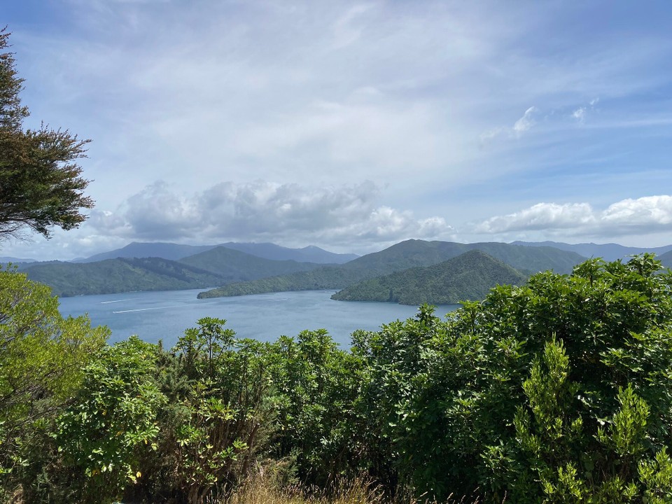 Neuseeland - Picton - 