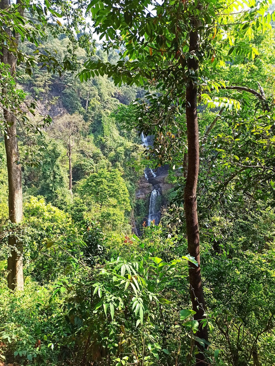 Indien - Agonda - 