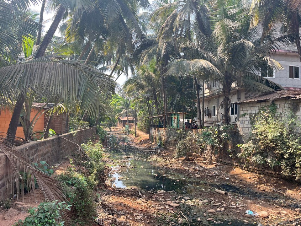 Indien - Gokarna - Überall Müll