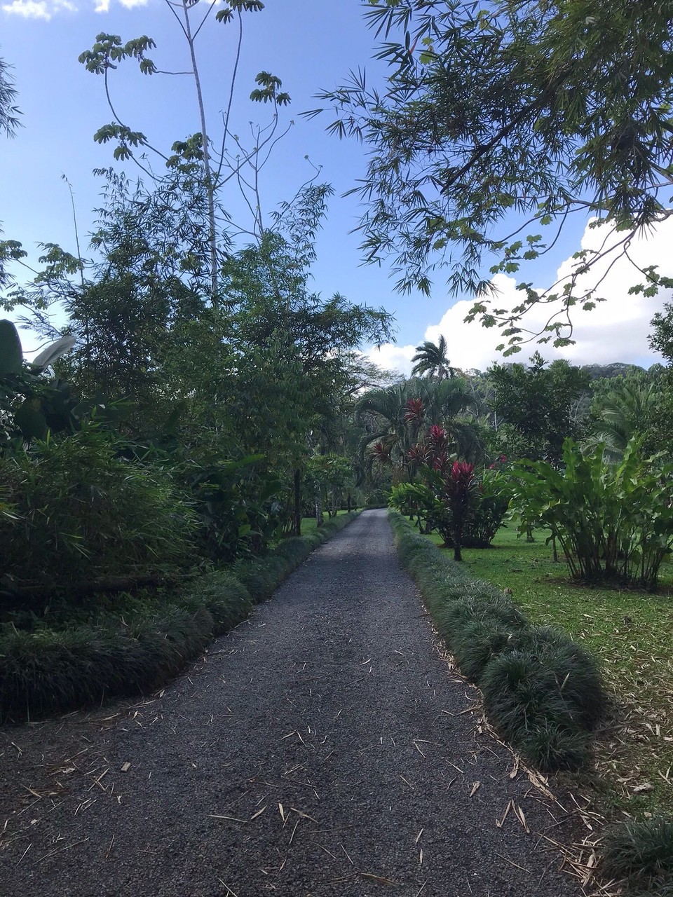 Costa Rica - San Carlos - 