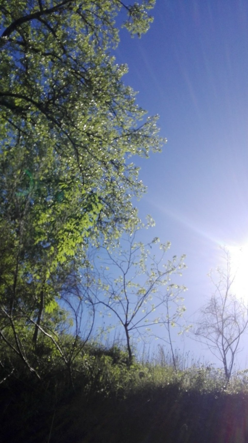Frankreich - Mialet - Soleil, soleil