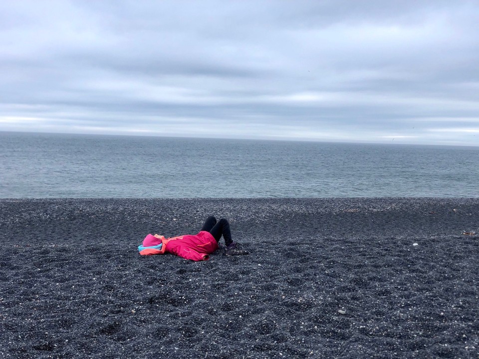 Island - Sveitarfélagið Hornafjörður - Wieder ein Farbklecks in der Landschaft...😍