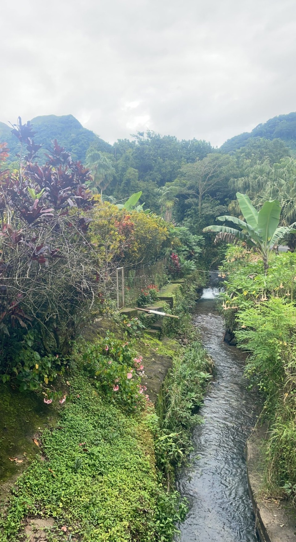 Panama - El Valle de Antón - ⛰️🌴 