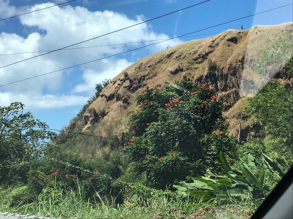 Dominica -  - 