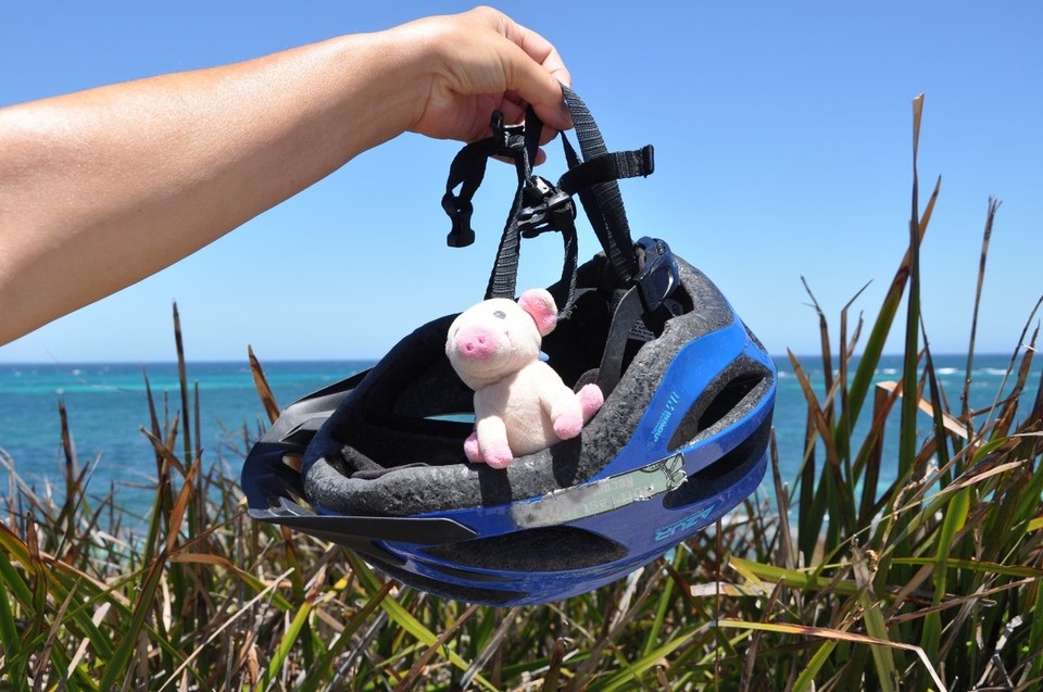 Australien - Rottnest Island - Eher eine Schaukel