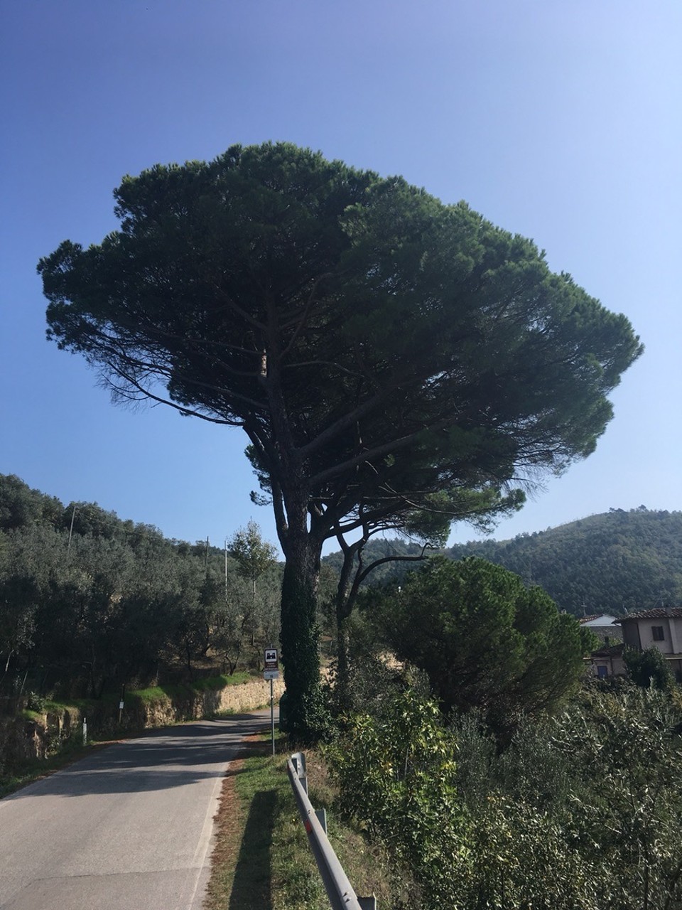 Italien - San Baronto - 