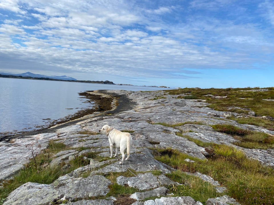 Norwegen - Averøy - 